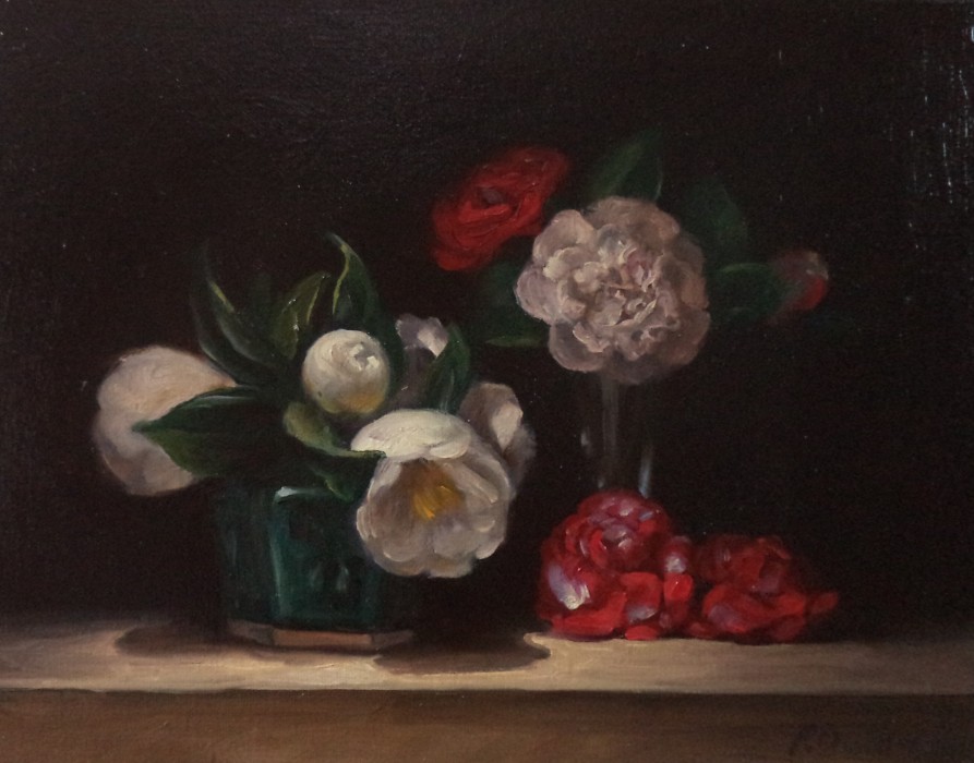 Philip Drummond - Camellias