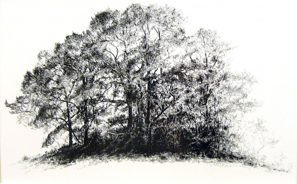 Peter Hickey -Highland Trees